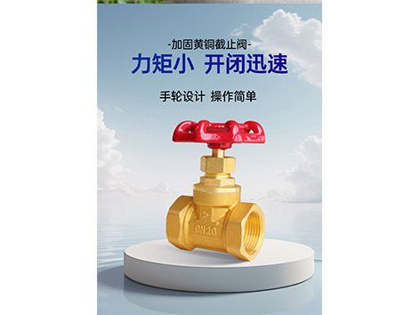 更換黃銅截止閥零件的注意事項有哪些-艾德默閥門(mén)