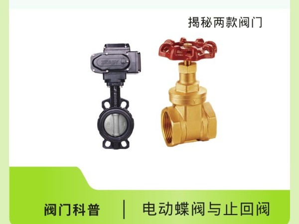 電動(dòng)蝶閥與止回閥：揭秘兩款閥門(mén)的獨門(mén)絕技！