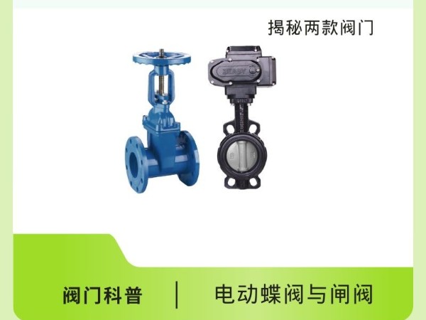 電動(dòng)蝶閥與閘閥：揭秘兩款閥門(mén)的獨特魅力