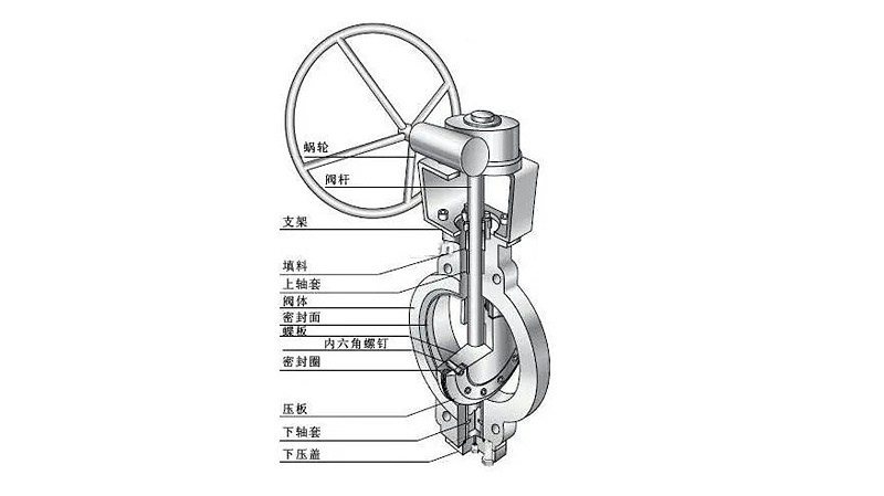 法蘭渦輪中線(xiàn)蝶閥內部結構圖