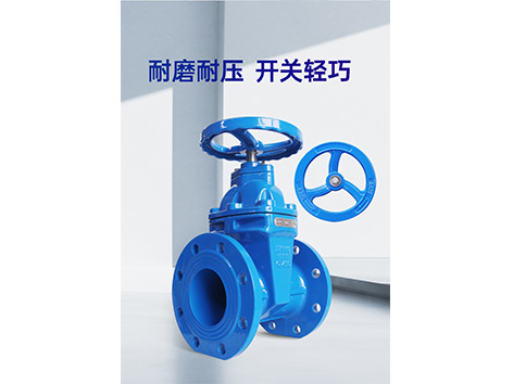 甄易暗桿閘閥：隱于無(wú)形，守護安全