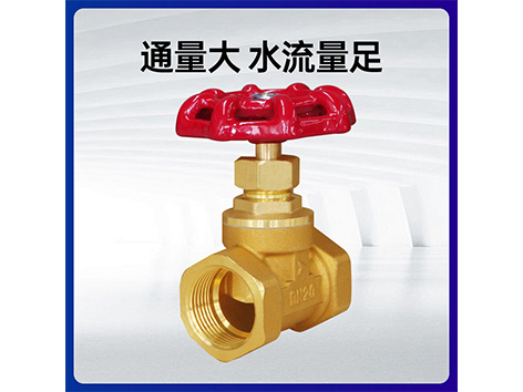 柱塞閥和截止閥的區別和用處-艾德默閥門(mén)